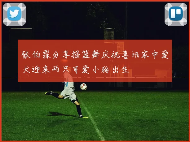 张伯霖分享摇篮舞庆祝喜讯家中爱犬迎来两只可爱小狗出生